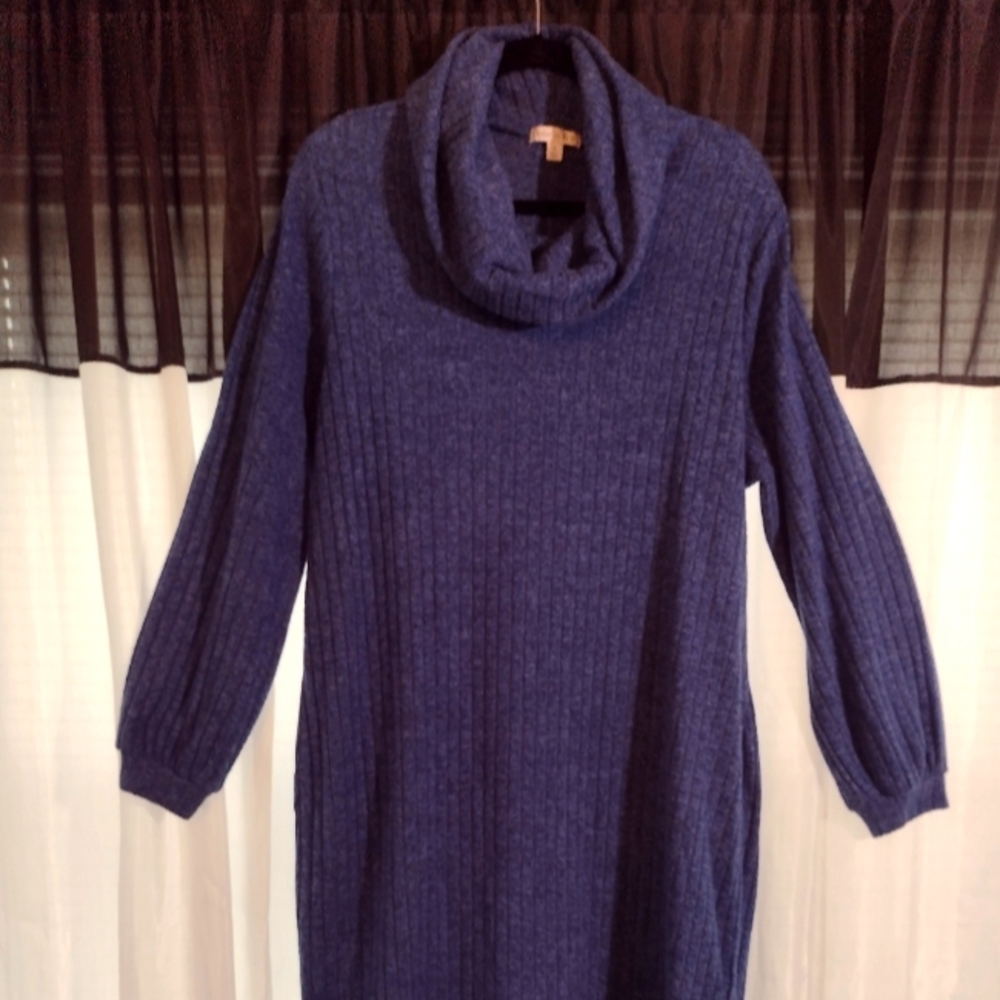 Used Ophelia Roe dress